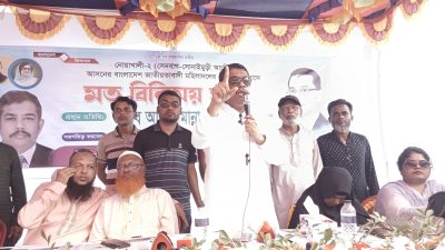 সেনবাগে ‎বিএনপি'র মহিলাদলের নেত্রীবৃন্দের সাথে মতবিনিময় সভা অনুষ্ঠিত
