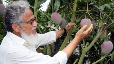 ভেষজ বিজ্ঞানী টিপু সুলতান: কুসুমপুরে সৌখিন কৃষি ও একজন মুক্তিযোদ্ধার মানবসেবায় নিরব বিপ্লব