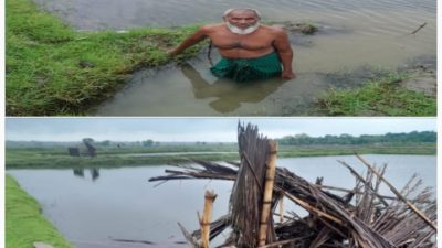 তালার বালিয়ায় মাছের ঘের লুটপাট ,দখলের চেষ্টা