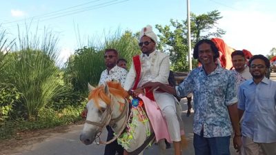 বাংলার সংস্কৃতি ও ঐতিহ্য মেনে পালকি ঘোড়া মহিষের গাড়িতে করে তরুনের বিয়ে