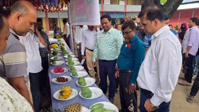 বালিয়াডাঙ্গীতে ৩দিন ব্যাপি ফল মেলার উদ্বোধন