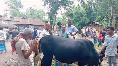 ময়মনসিংহ