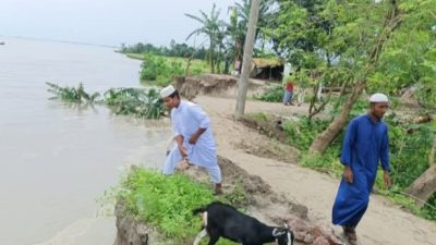 চিলমারীতে ৩দিনে মসজিদ, মাদ্রাসা, কবরস্থানসহ নদী ভাঙ্গনে শিকার হয়েছে প্রায় ৫০টি পরিবার