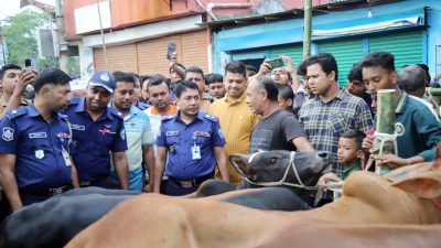 ফেনী জেলার পশুর-হাট পরিদর্শনে পুলিশ সুপার