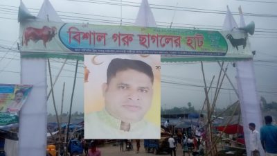 গাজীপুরে অবৈধ গরুর হাট জমেছে নেপথ্যে বিএনপি নেতা!