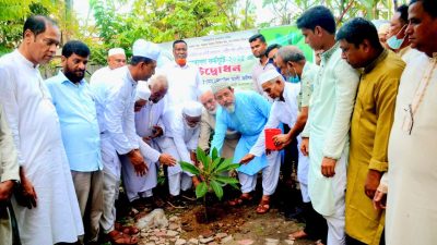 মাইজভাণ্ডারী গাউসিয়া কমিটি বাংলাদেশের মাসব্যাপী বৃক্ষ রোপণ কর্মসূচি উদ্বোধন