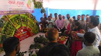 ভালুকায় শুরু হলো জাতীয় ফল মেলা