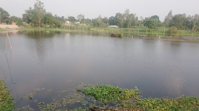 হৃদরোগে একজনের মৃত্যু গাবতলীতে দহ বিল নিয়ে সংঘর্ষ মহিলা সহ আহত-৫