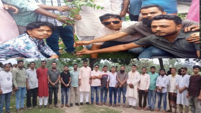 বগুড়া গাবতলীতে মহিষাবান ইউনিয়ন সেচ্ছাসেবক দলের উদ্যোগে বৃক্ষরোপণ...