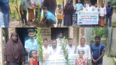 বগুড়ার গাবতলীতে স্বপ্নসিঁড়ি পাঠাগারের উদ্যোগে বৃক্ষরোপণ ও চারা বিতরণ