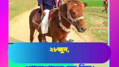 মানবতার গোরখোদক মনু মিয়া আর নাই