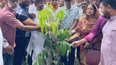 বিএনপি’র নেতাদের বৃক্ষরোপণ ও মাদ*ককে না বলুন ফলকে হাঁ বলুন কর্মসূচি পালন