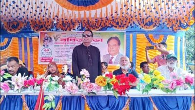 মধুপুর মির্জাবাড়ী ইউনিয়নে বিএনপির বর্ধিত সভা অনুষ্ঠিত