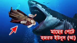 ওয়াস-সালাম, ডা. এম. জি. মোস্তফা মূসা