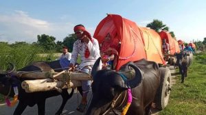 বাংলার সংস্কৃতি ও ঐতিহ্য মেনে পালকি ঘোড়া মহিষের গাড়িতে করে তরুনের বিয়ে