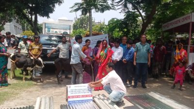 ক্ষুদ্র নৃগোষ্ঠীর আর্থ সামাজিক ও জীবন মানোন্নয়নের লক্ষ্যে বদলগাছীতে বকনা বাছুর বিতরণ