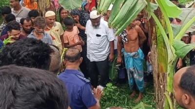 নরসিংদী