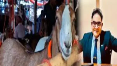 গাবতলীতে ঈদ হাটের সবচেয়ে বড় ছাগলের নাম ময়ূখ রঞ্জন!